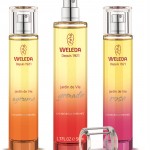 דודי בושם ולדה