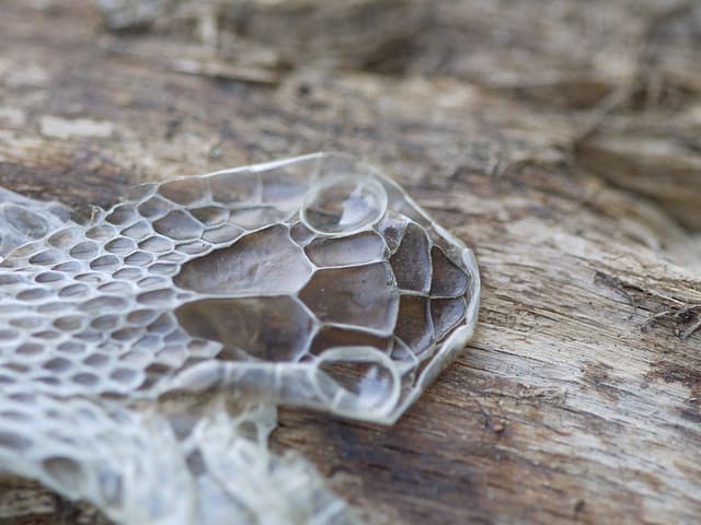 7917731006_8edcabf12d_z