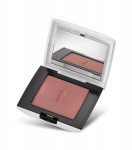 סומק מסדרת COLOR BLUSH בגוון 05 מחיר 59.90 שח צילום מוטי פישביין