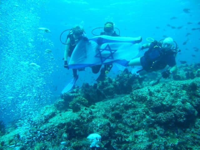 רות דיין עצמאות