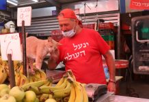 קחי לך תפוחים ומסכות