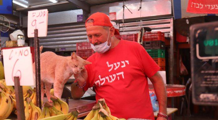 קחי לך תפוחים ומסכות