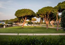 ירוק זה לא רק צבע אקספו תל אביב מנצל את השטחים הירוקים במתחם לקיום אירועים וכנסים בהתאמה לרוח התקופה