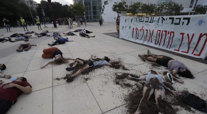נוער למען כדור הארץ