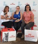 16213199489543353998595223652746