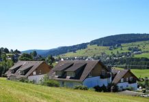 חופשה מושלמת ביער השחור