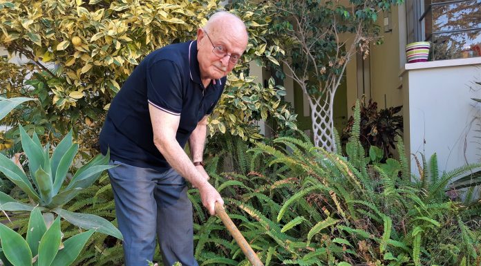 נשיא בואינג בצאתו וגנן בביתו. עברי בחצר הבית שלו (צילום: דוד חרמץ)