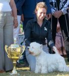 תערוכת כלבים של ההיל צילום יגאל פרדו (2)