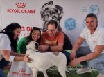 קריסטיאן טאשב המאמצים החדשים של הכלבה 'במבה' ואתי בן דוד צילום אוסנת אונצ'יק בשביל בעלי החיים הדרך לבית חם_ (002)