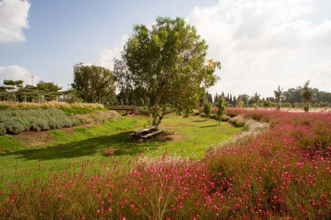 מתחם נחל כופר בפארק אריאל שרון -צילום פארק אריאל שרון