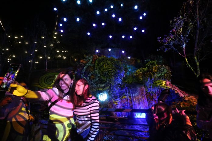 339759435_743043677322485_2493429905759251326_n