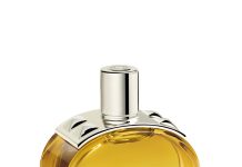 חדש על המדף- טיפוח