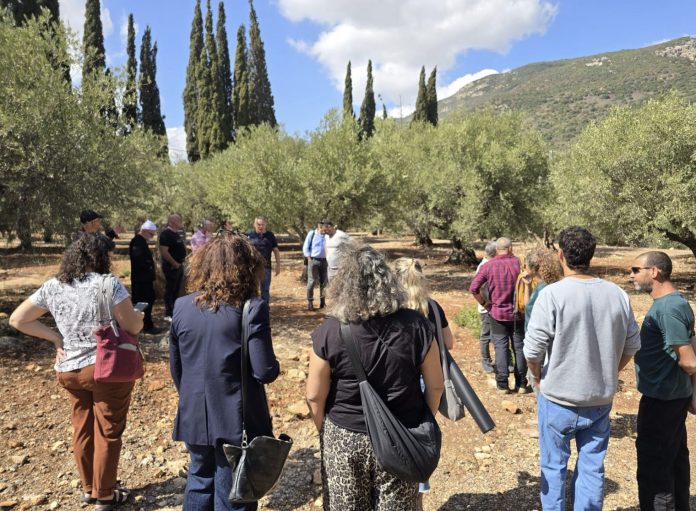 צילום מסך 2025-11-05 ב-12.05.58