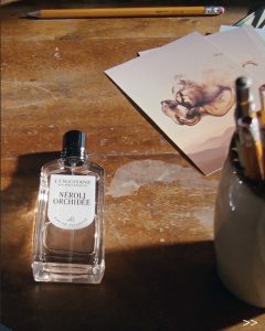 צילום מסך 2025-11-16 ב-17.52.20