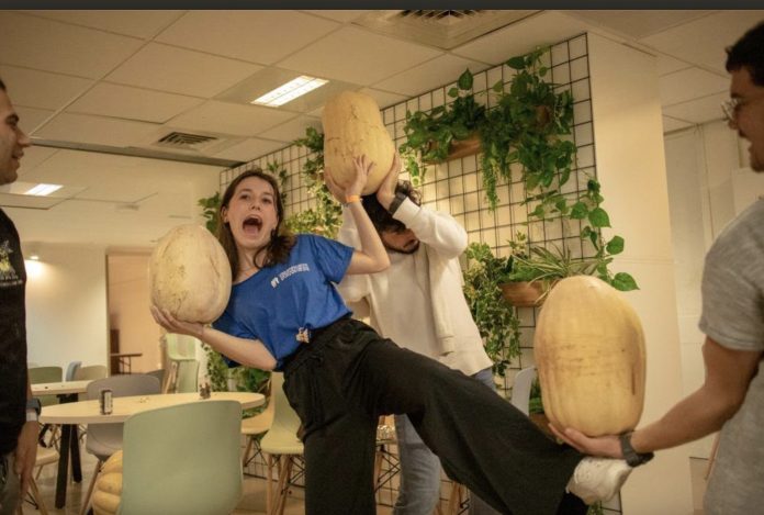 צילום מסך 2025-11-23 ב-13.37.19