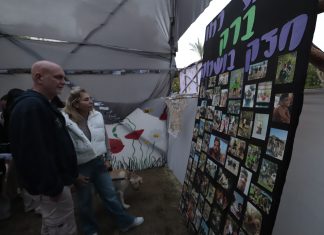 סנאדות של זיכרון: כשערכי הצופים פגשו את כאב המלחמה בפארק רייספלד