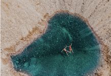 פברואר של אהבה במלון עין גדי