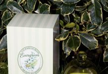 מותג העיצוב היהודי הוויראלי The Basic Balaboosta" משיק קולקציית נרות חדשה של ט"ו בשבט.