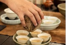 קרדיט נדב בירן