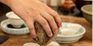 קרדיט נדב בירן