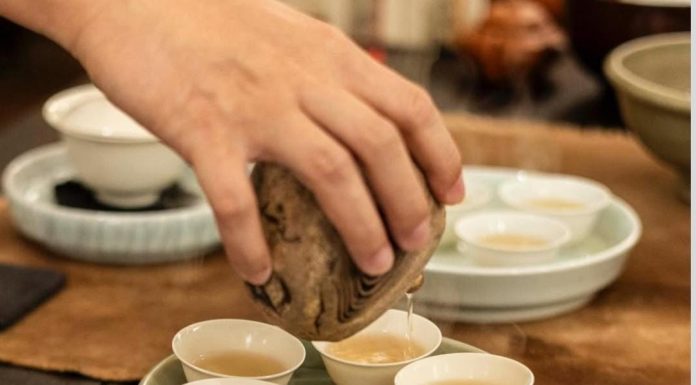 קרדיט נדב בירן