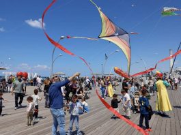 מה זה שמה בשמיים? ״העפיפונמל״ חגיגת עפיפונים ועצמאות בנמל תל אביב
