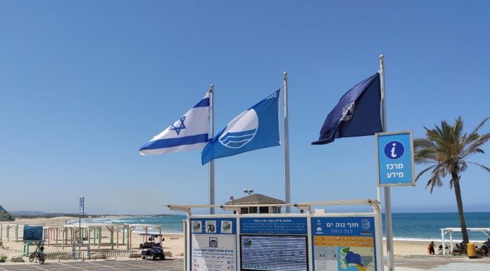 החופים נפתחים, הסטנדרט עולה: 62 חופים ו־3 מרינות בישראל קיבלו את תו "הדגל הכחול" לשנת 2026