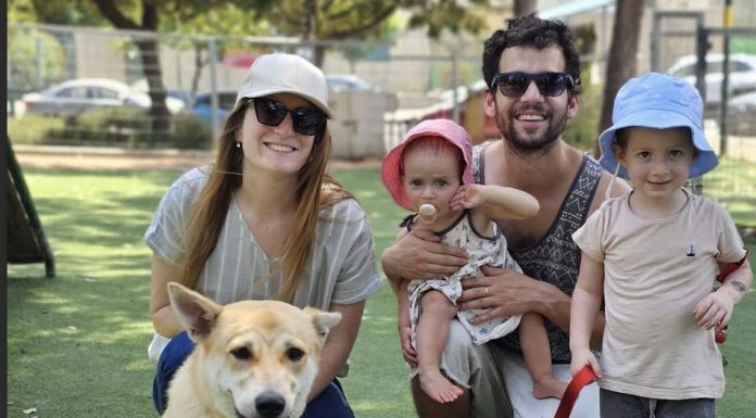 יום אימוץ חגיגי בתל אביב: עשרות כלבים יחפשו בית חם בקמפוס האוניברסיטה