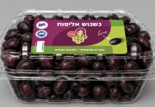 נשנוש אליפות מהכרם אל המסך: ענבי טלי Wolt Market ואפליקציית Wolt בשיתוף פעולה מיוחד למונדיאל