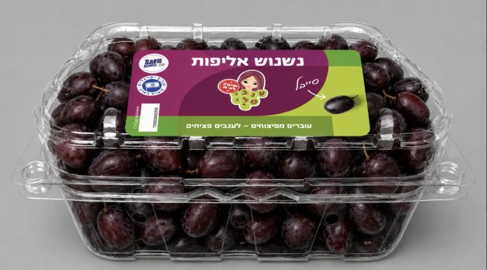 צילום מסך 2026-07-03 ב-3.43.29