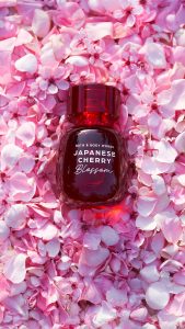 Sp3_JapeneseCherryBlossom-EDP_1080x1920 2